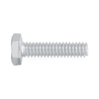 Blister Con 10 Tornillos 1/4 X 1 Tipo Maquina, Fiero