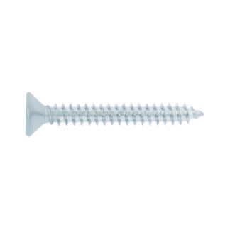Bolsa 150 Tornillos Para Lamina Cabeza Plana #10 X 1-1/2, Fiero