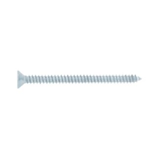 Bolsa 150 Tornillos Para Lamina Cabeza Plana #10 X 2-1/2, Fiero