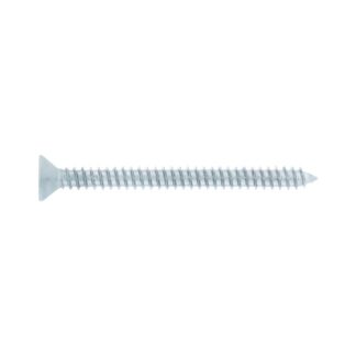 Bolsa 100 Tornillos Para Lamina Cabeza Plana #12 X 2-1/2, Fiero