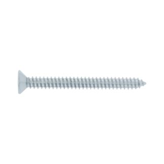 Bolsa 100 Tornillos Para Lamina Cabeza Plana #14 X 2-1/2, Fiero